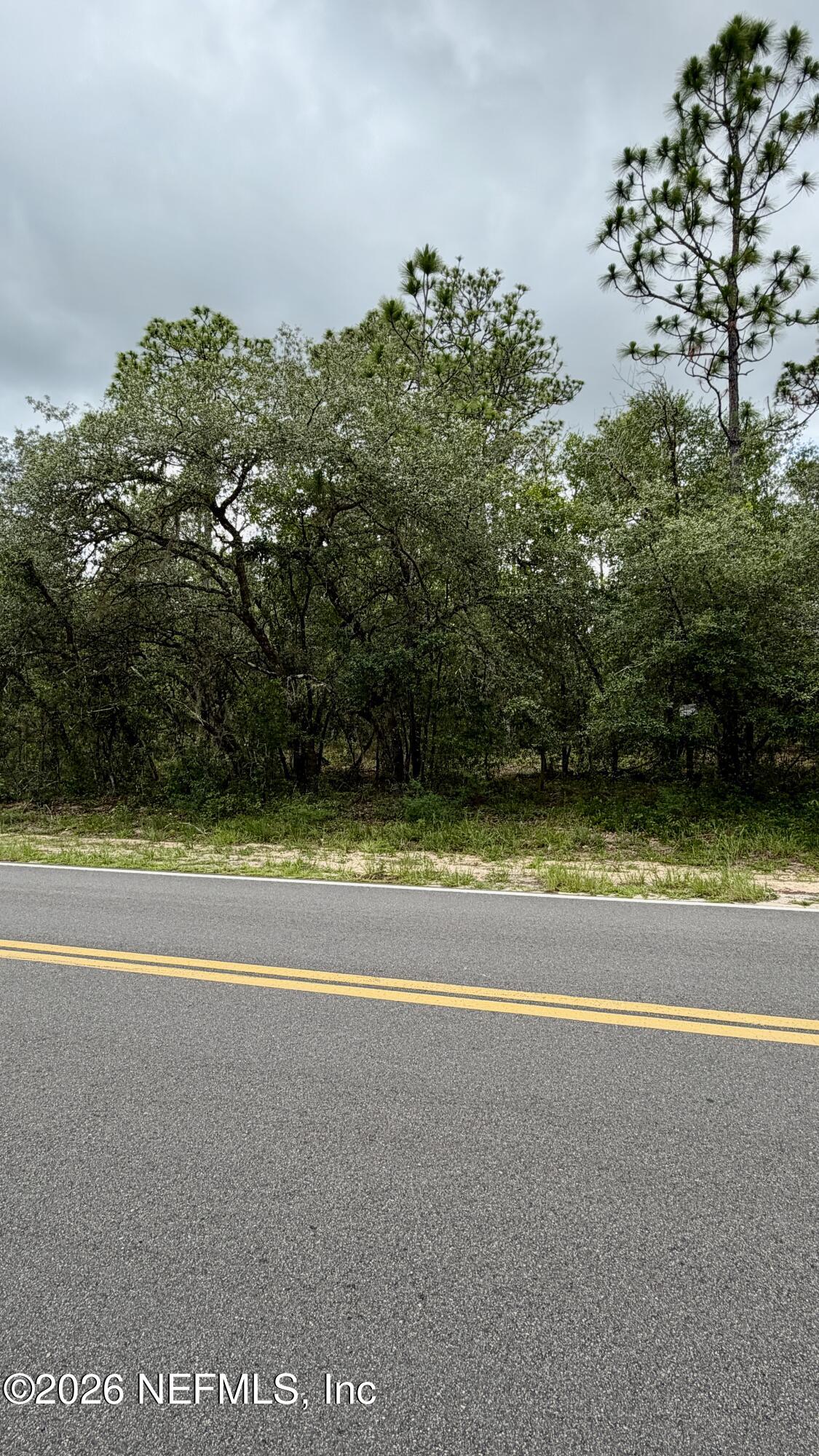 41 Cousintown Road Interlachen, FL 32148 - Photo 2 of 5 0041 Cousintown Rd, Interlachen, FL