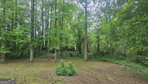 5851 Giles Road Lithonia, GA 30058 - Photo 15 of 15 a view of a lush green forest