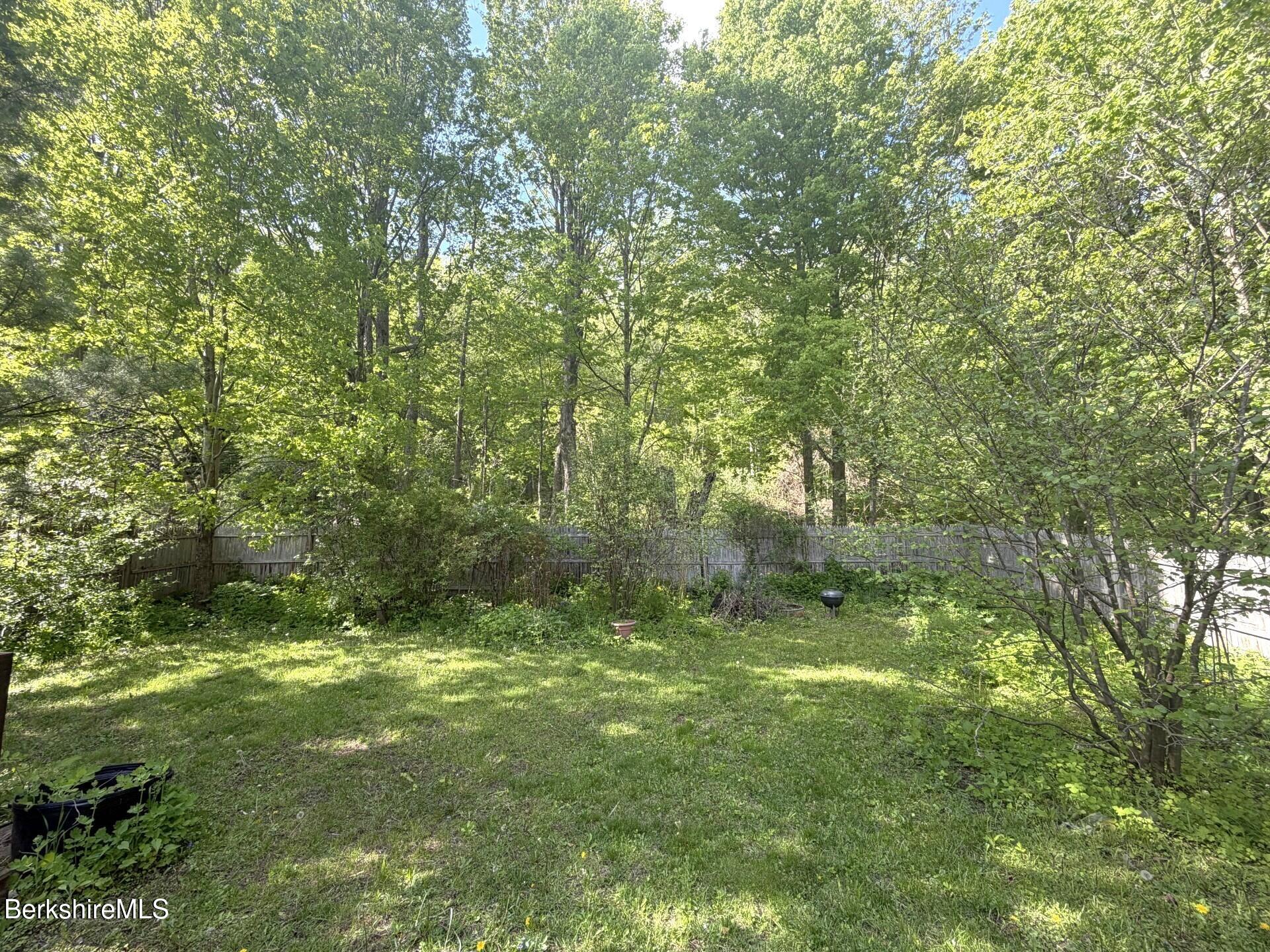 161 Main Street Hancock, MA 01237 - Photo 20 of 24 Backyard