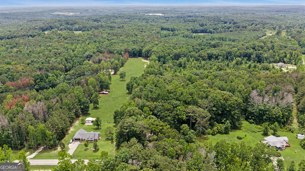 1665 Kansas Jake Road Waco, GA 30182 - Photo 25 of 26