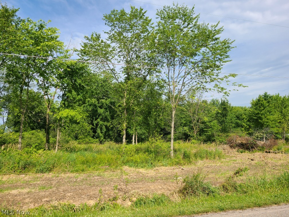 Ellett Road Beloit, OH 44609 - Photo 1 of 3 Gallery Image 1