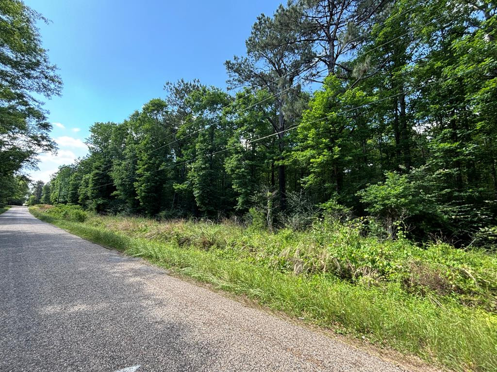 Tbd Adron Boyd Road Tylertown, MS 39667 - Photo 7 of 8 Photo 7