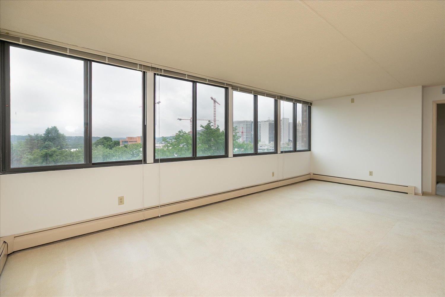 600 4th Street Southwest, Unit 605 Rochester, MN 55902 - Photo 2 of 37