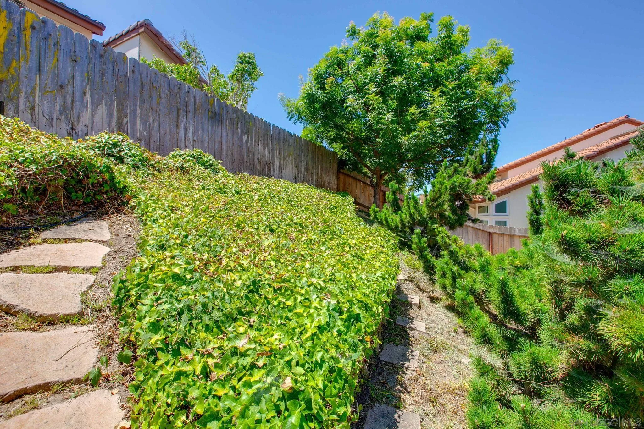 2041 Coolngreen Lane Encinitas, CA 92024 - Photo 34 of 36 a view of a garden with plants