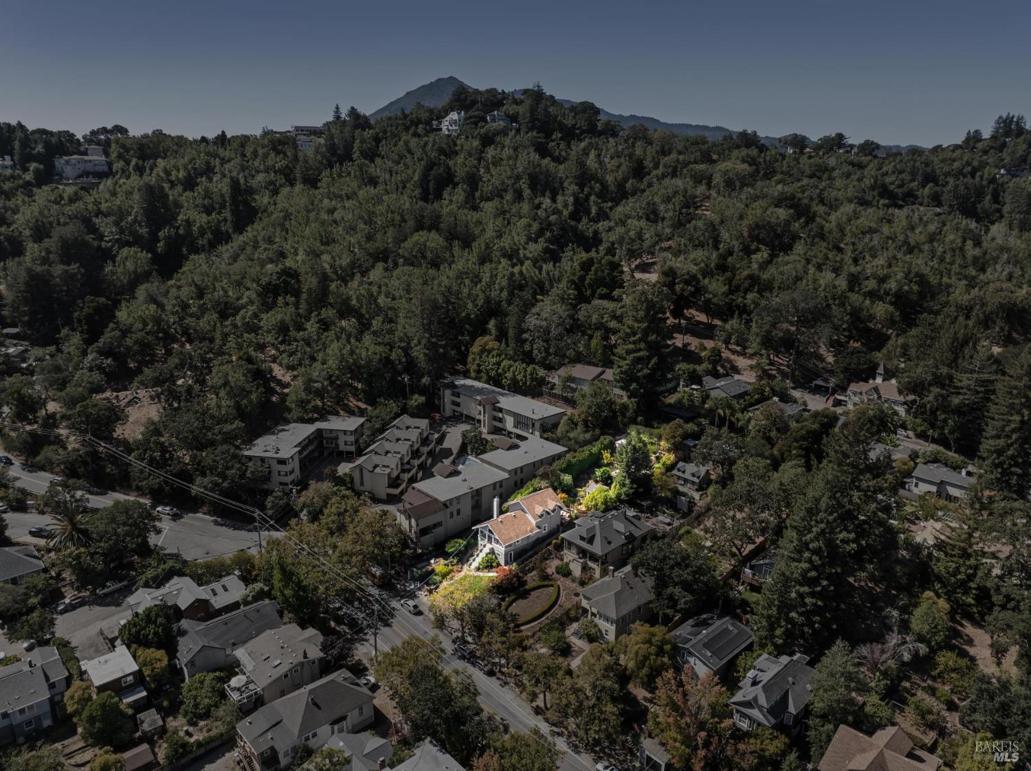 207 D Street San Rafael, CA 94901 - Photo 4 of 4 a view of a forest with a forest