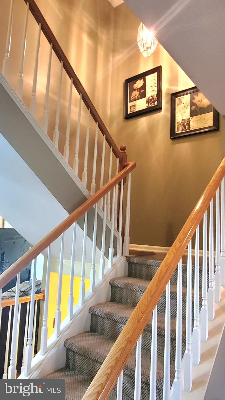 22 Emily Court Reading, PA 19606 - Photo 20 of 37