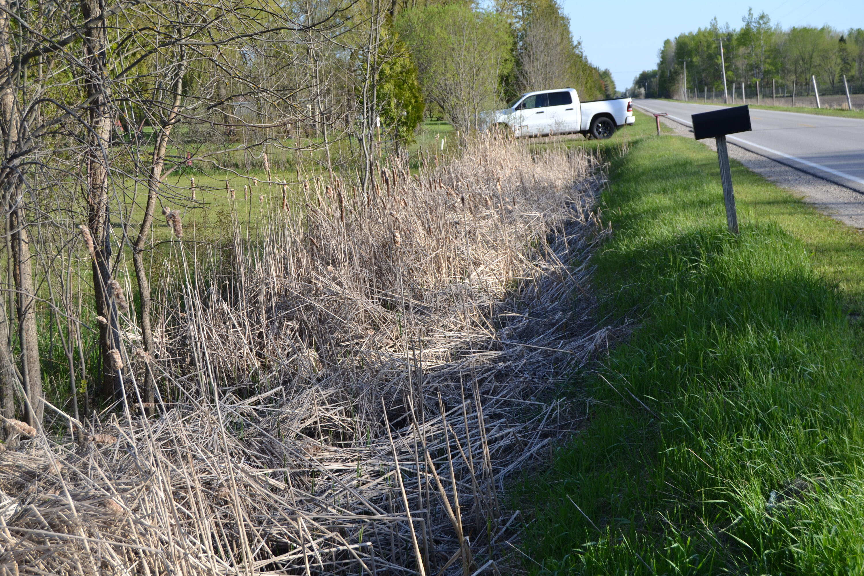 2956 3 Rivers Road Gladwin, MI 48624 - Photo 13 of 14 DSC_0275
