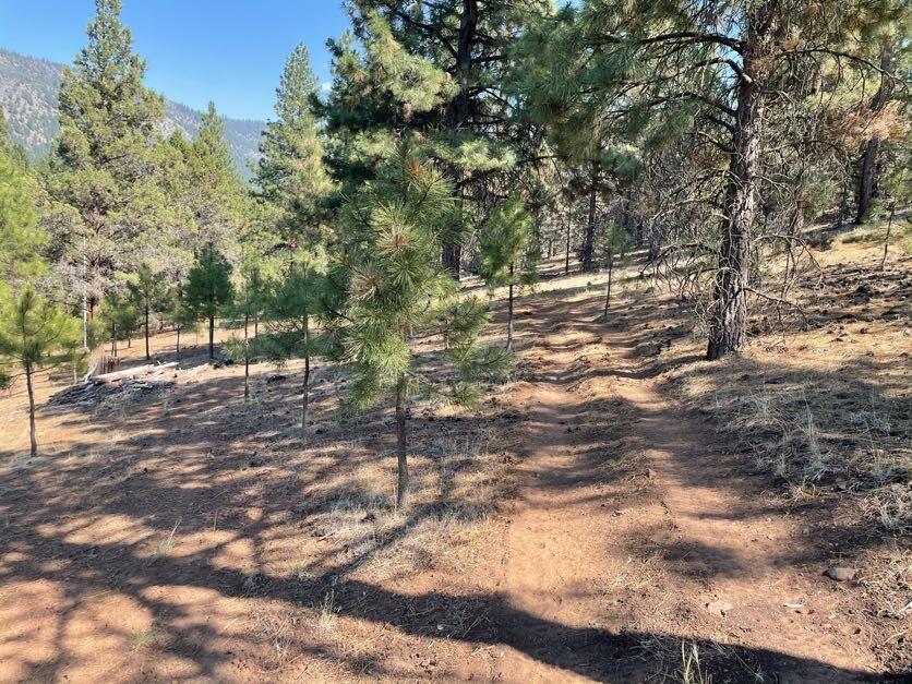 Simpson Canyon Road Klamath Falls, OR 97601 - Photo 1 of 13 s1