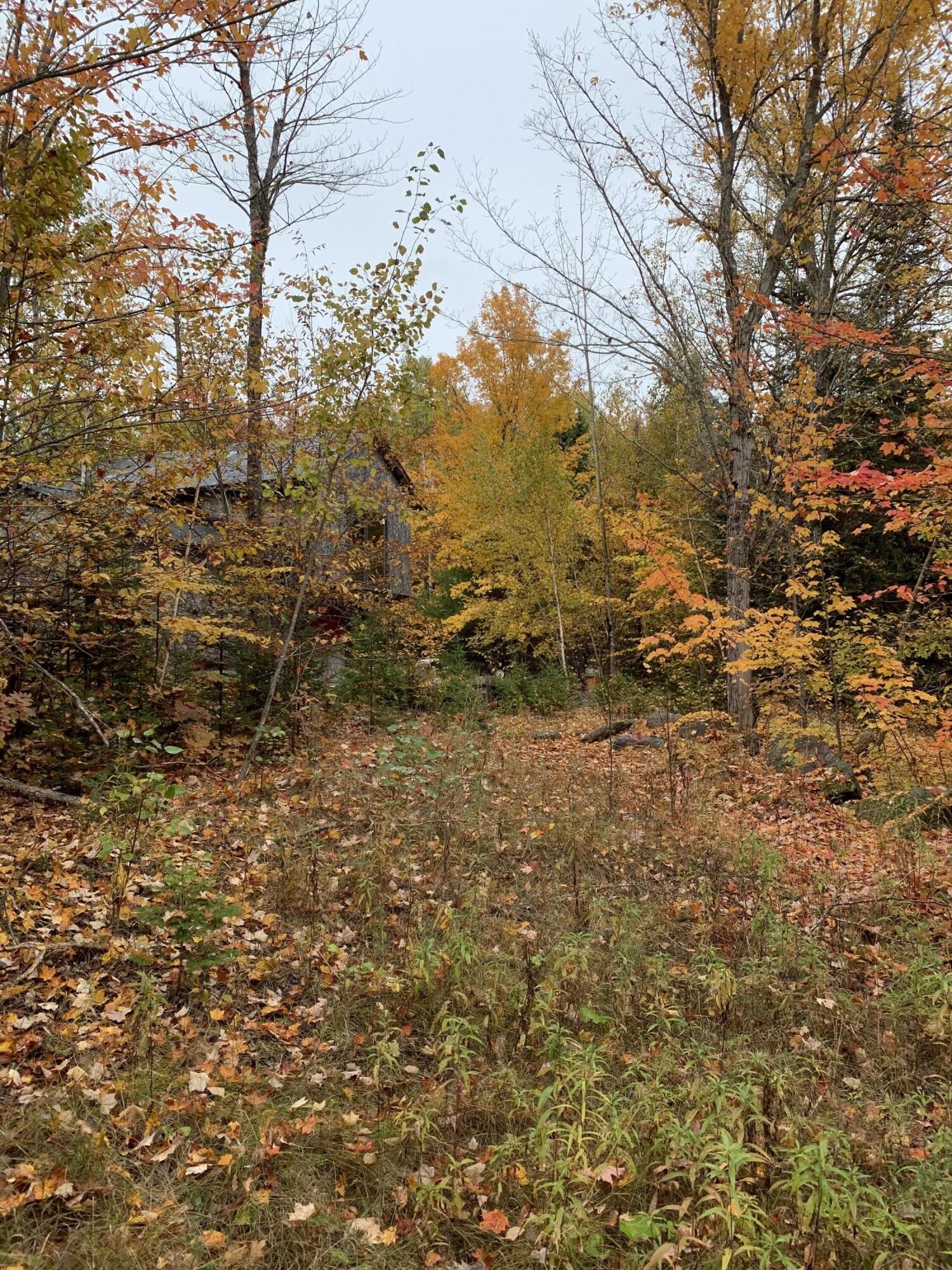 0 Berry Pit Road Hudson, ME 04449 - Photo 18 of 27 AEE50847-A846-476E-96F9-002E67B8448E