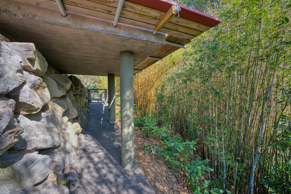 64-5221 Iokua Place Kamuela, HI 96743 - Photo 23 of 30 a view of a back yard of the house