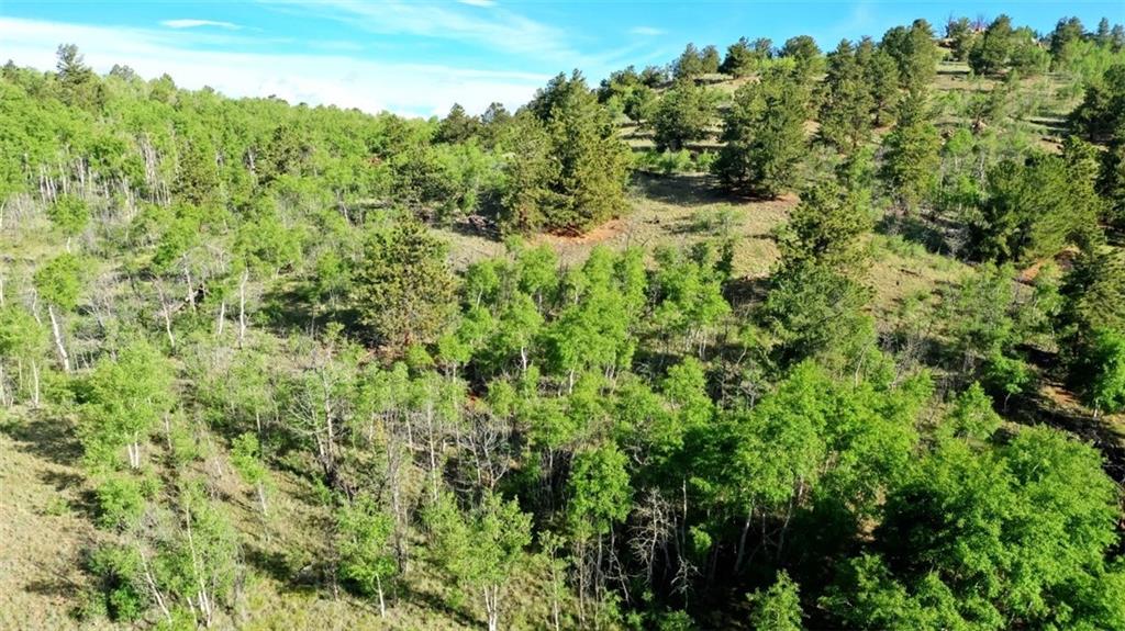 8122 Remington Road Como, CO 80432 - Photo 2 of 11 Gallery Image 2
