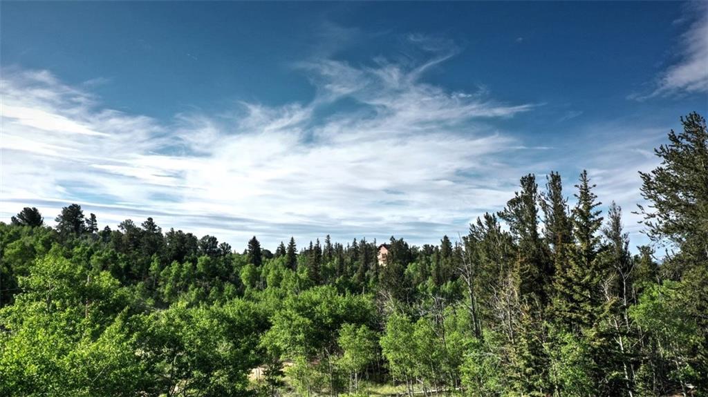 8122 Remington Road Como, CO 80432 - Photo 8 of 11 Gallery Image 8