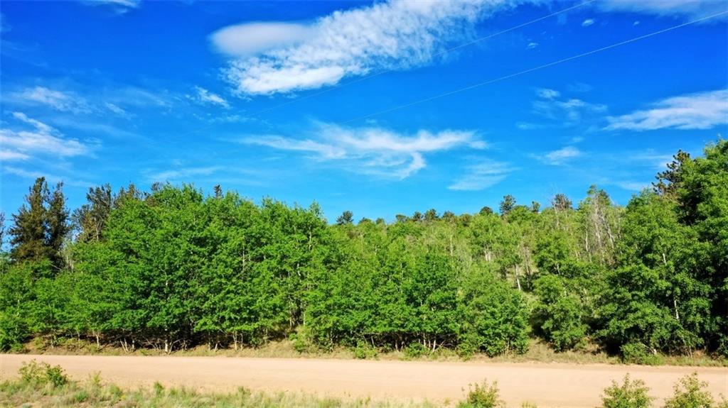 8122 Remington Road Como, CO 80432 - Photo 10 of 11 Gallery Image 10