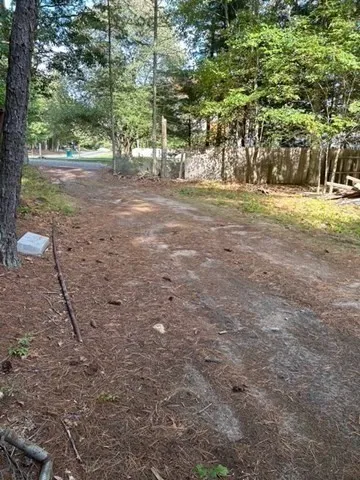 a view of a forest with trees