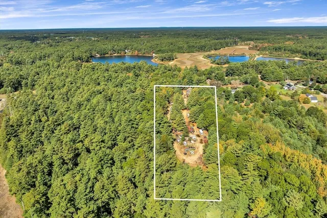 a close up of a plant