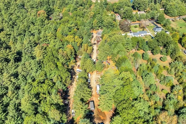 a view of a yard with plants and large trees