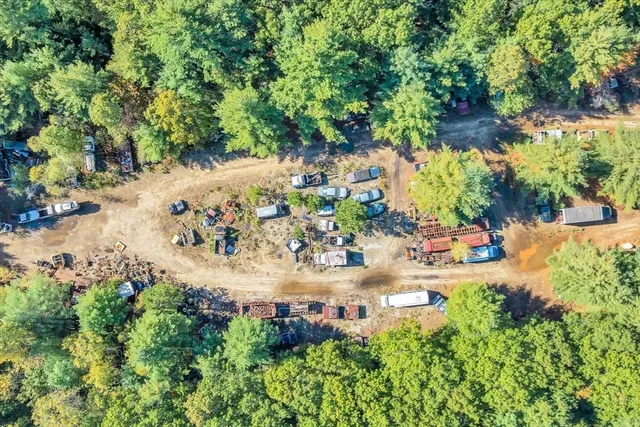 a view of a yard with large trees