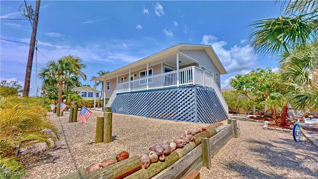 a view of a park with plants and palm trees