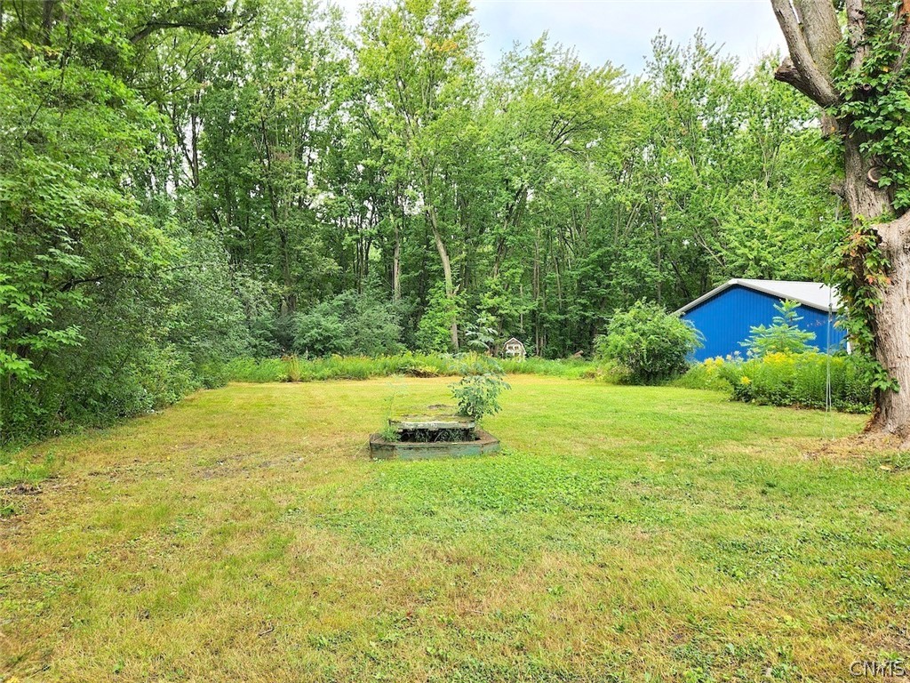 8259 Oswego Road Clay, NY 13090 - Photo 4 of 20 Gallery Image 4