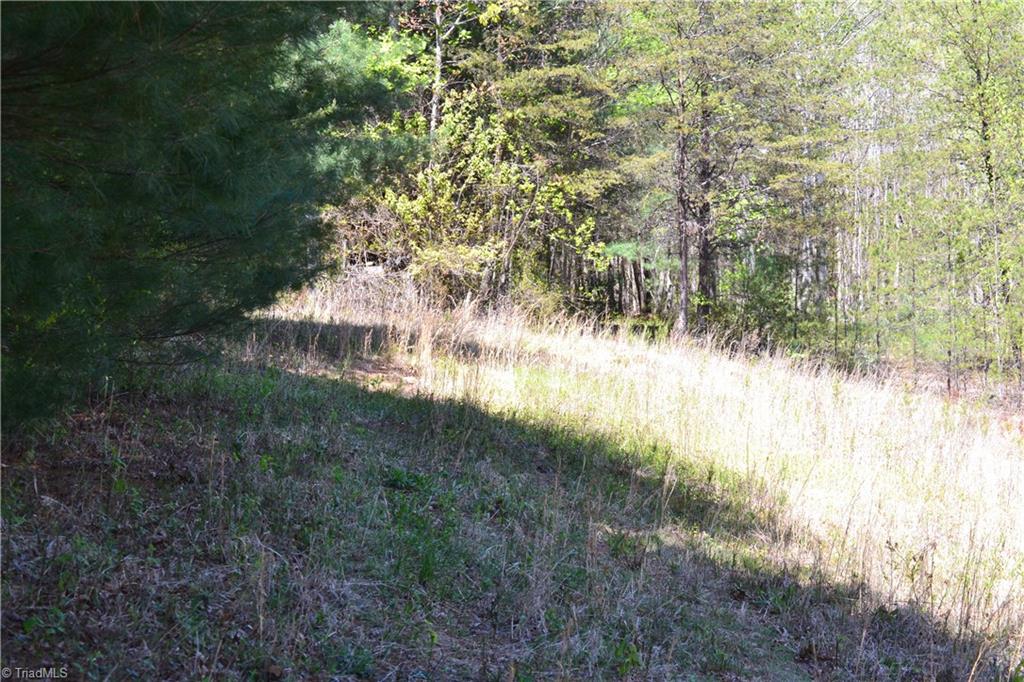 0 Swaringen Road Traphill, NC 28685 - Photo 8 of 15