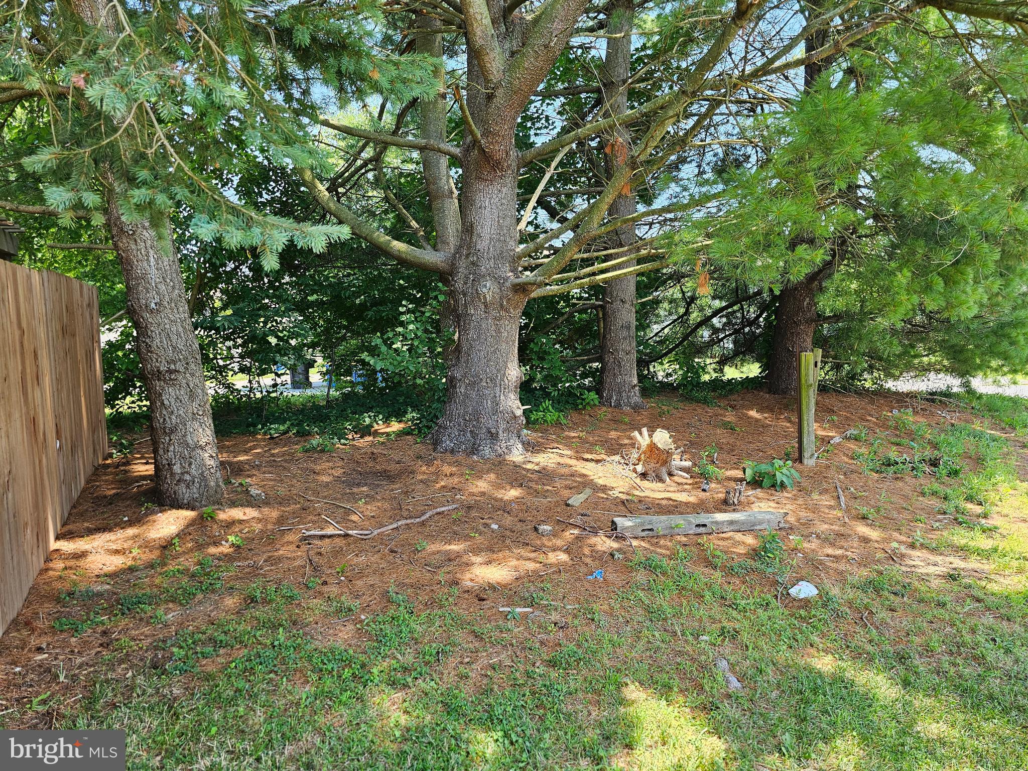 401 Cold Spring Place Dover, DE 19904 - Photo 9 of 56