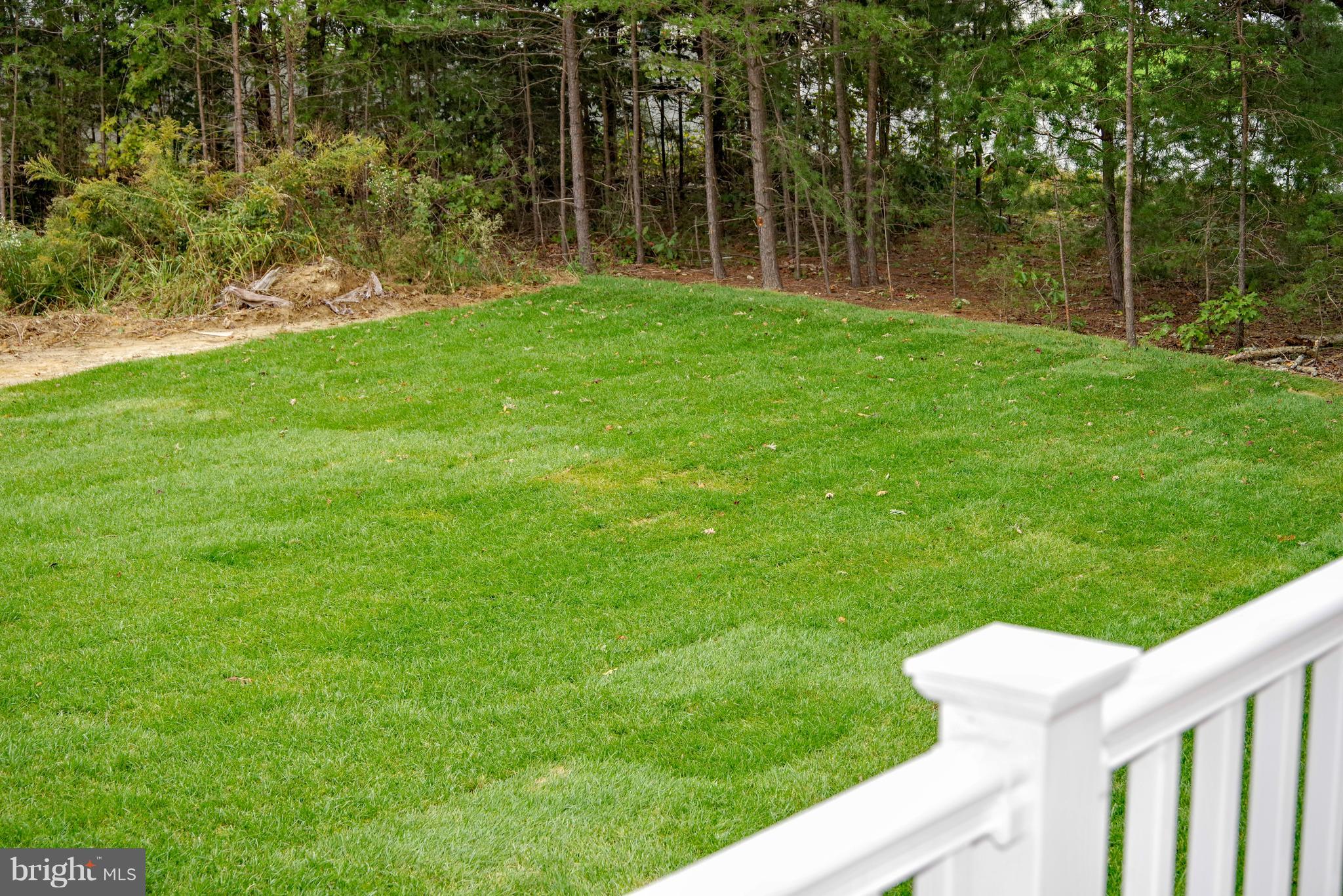 39 Shermans Ridge Road Stafford, VA 22554 - Photo 8 of 8 Rear Yard