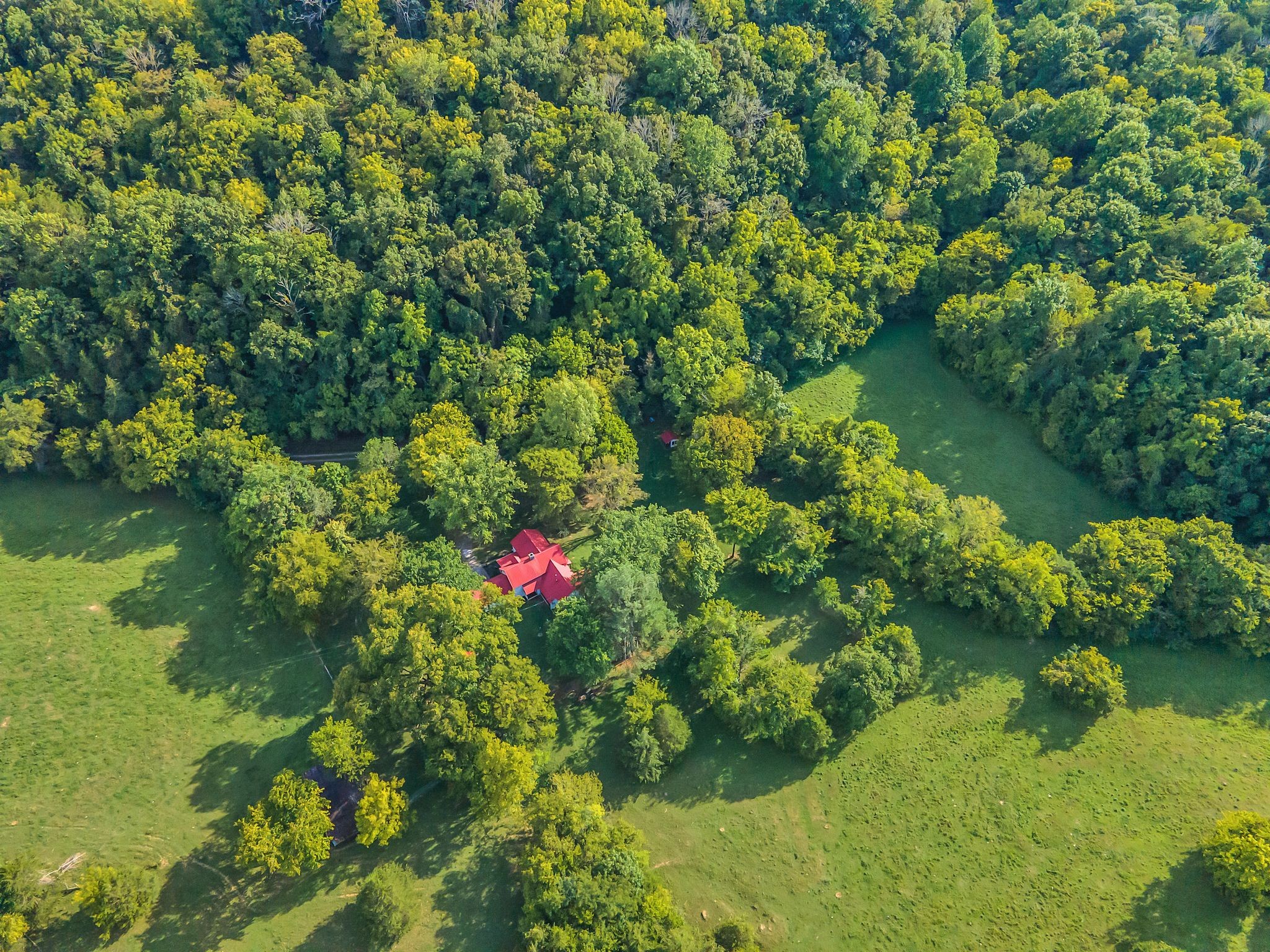 3962 John Barnes Road Cornersville, TN 37047 - Photo 49 of 53 Gallery Image 49
