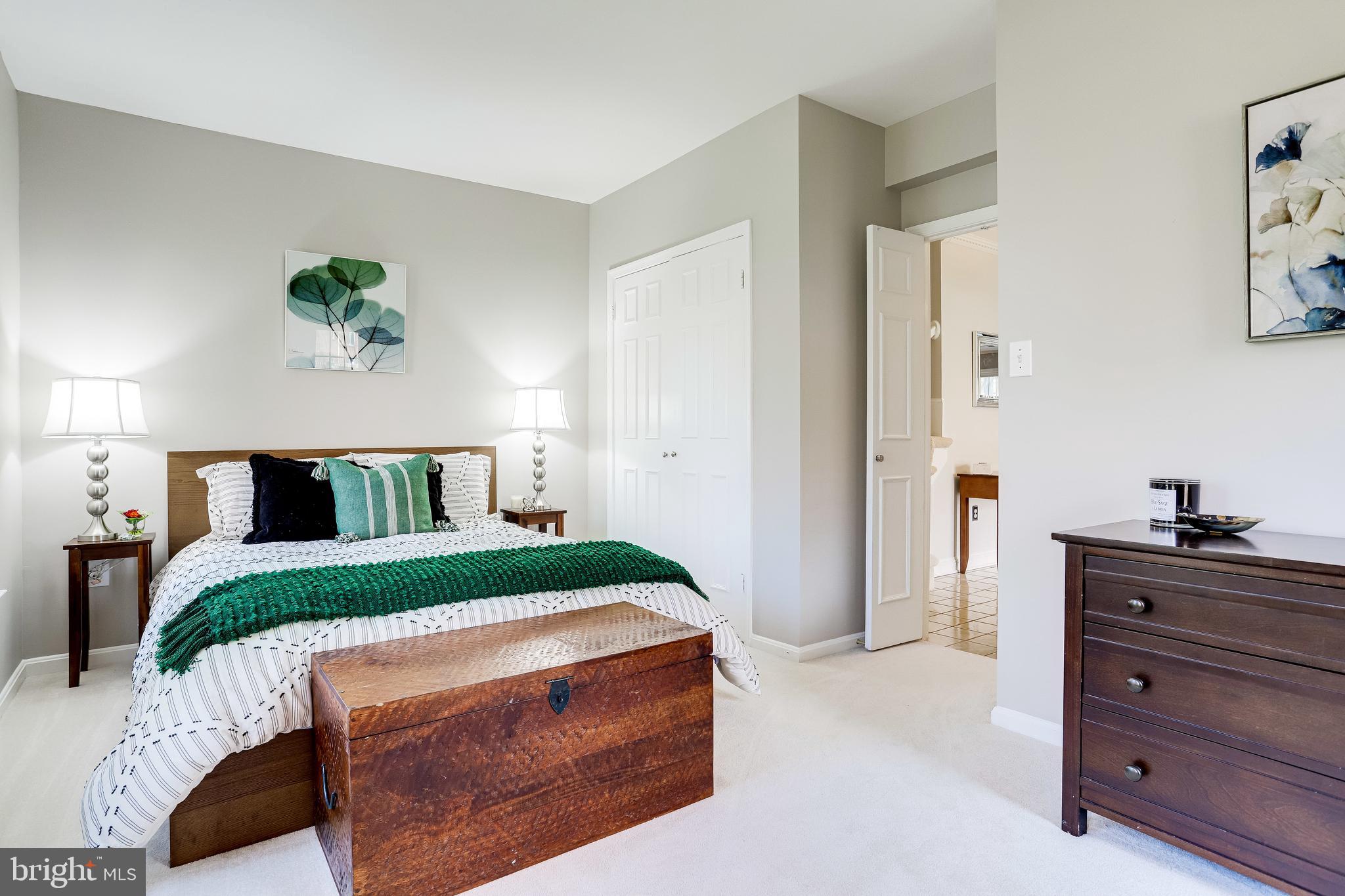 14 South Manchester Street Arlington, VA 22204 - Photo 16 of 88 Newer Extra Plus Carpeting and Pad