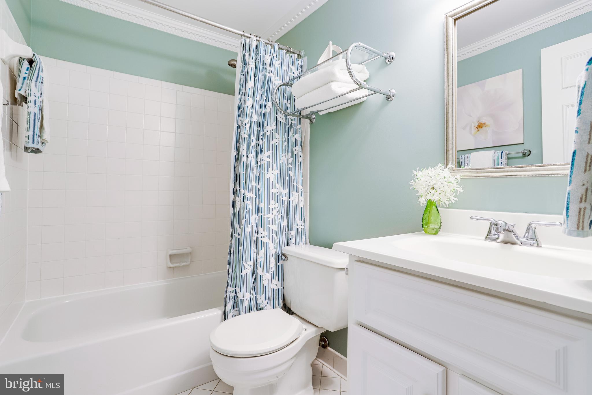 14 South Manchester Street Arlington, VA 22204 - Photo 19 of 88 3rd Full Bathroom