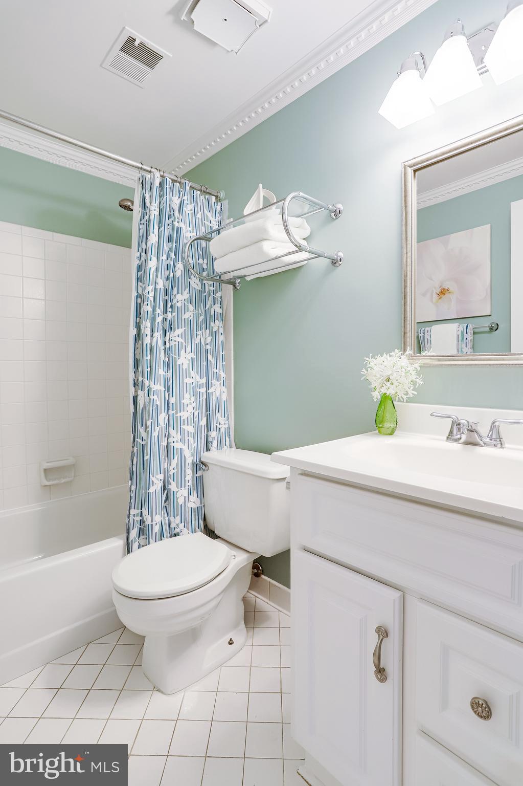 14 South Manchester Street Arlington, VA 22204 - Photo 20 of 88 Full Bath #3