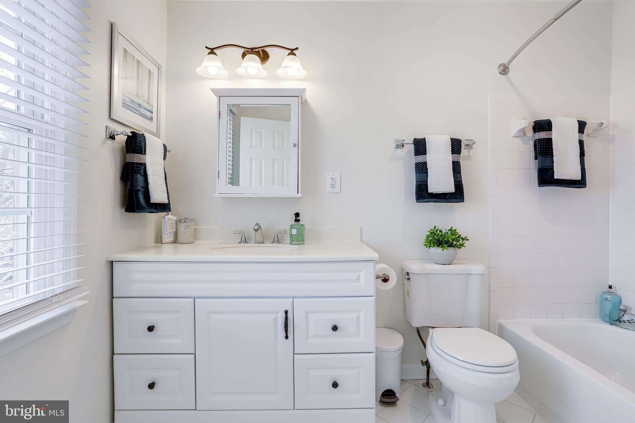 14 South Manchester Street Arlington, VA 22204 - Photo 50 of 88 Primary Bath