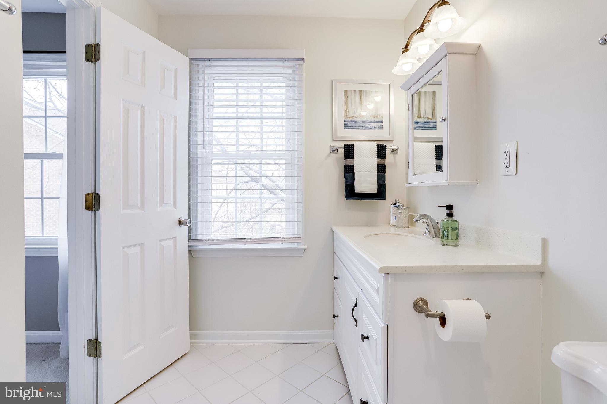 14 South Manchester Street Arlington, VA 22204 - Photo 52 of 88 Primary Bath View 3