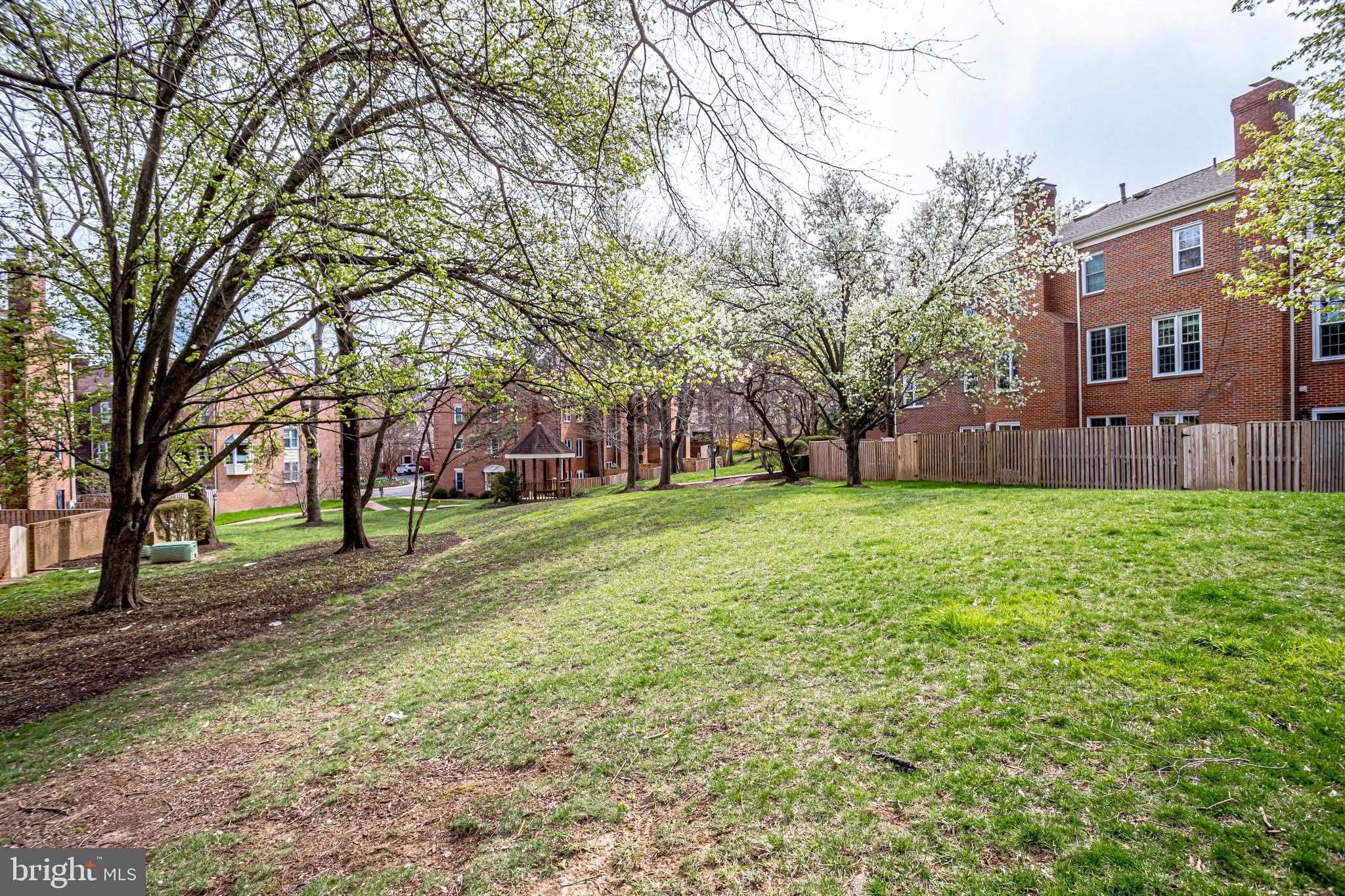 14 South Manchester Street Arlington, VA 22204 - Photo 75 of 88 Backs to Common Areas