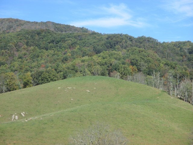 Tbd Rim Rock Lane Independence, VA 24348 - Photo 20 of 28 Gallery Image 20