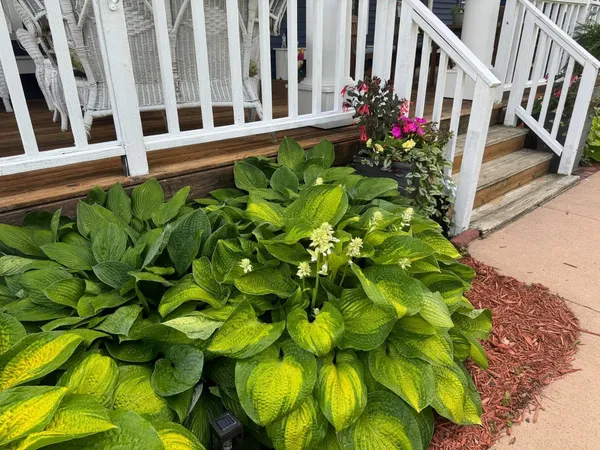 $599,900 | 425 Prospect Street, Peterson, MN 55962