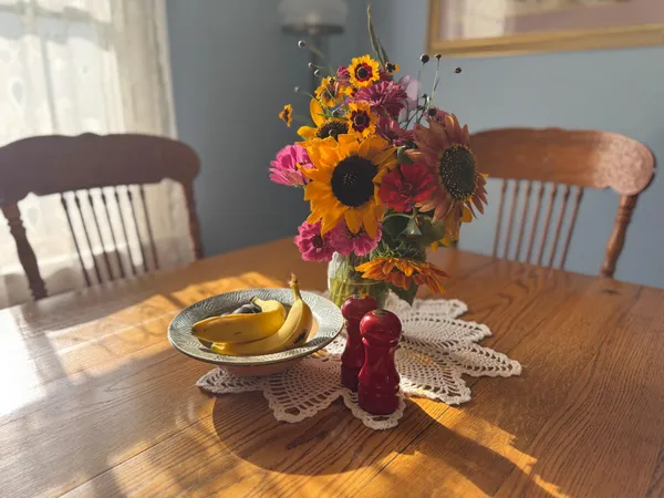 $599,900 | 425 Prospect Street, Peterson, MN 55962