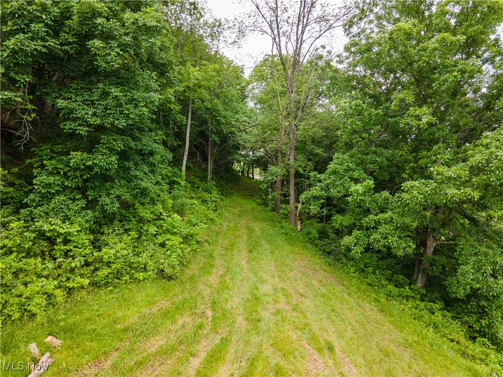 31647 Charleston Road Leon, WV 25123 - Photo 9 of 30