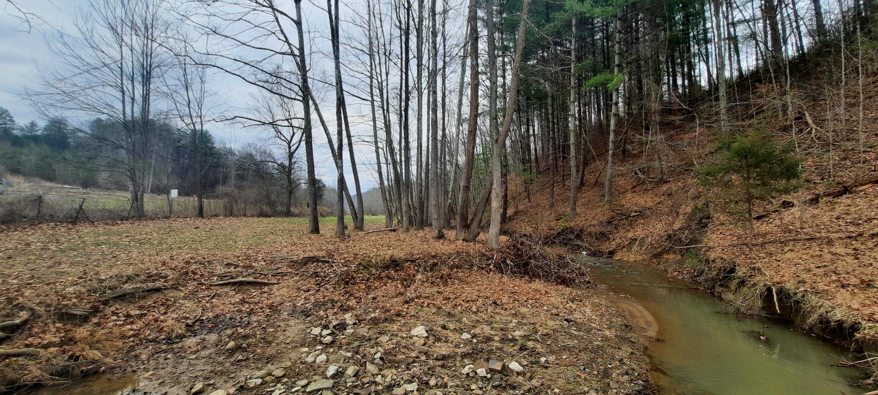 2135 Urban Creek Road Manchester, KY 40962 - Photo 45 of 81 20240227_140827