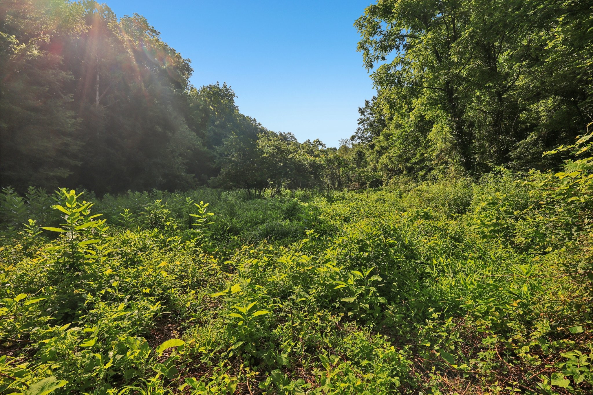 2326 Fairfield Road Westmoreland, TN 37186 - Photo 11 of 17