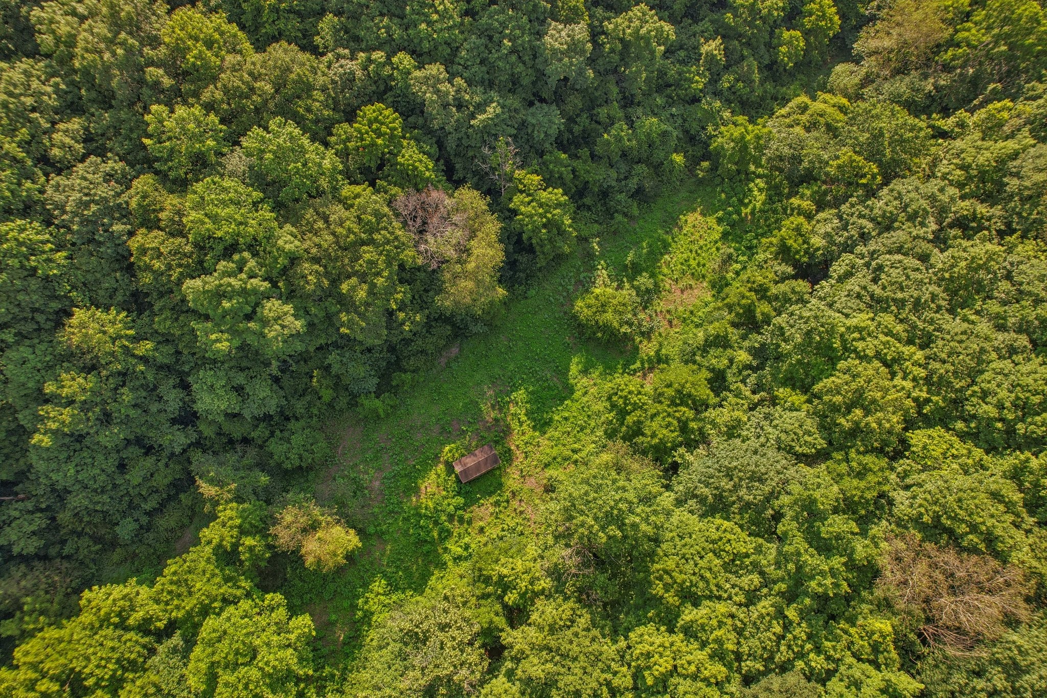 2326 Fairfield Road Westmoreland, TN 37186 - Photo 6 of 17 a view of a garden