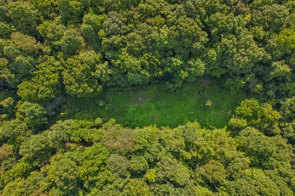 a view of a garden with a lake