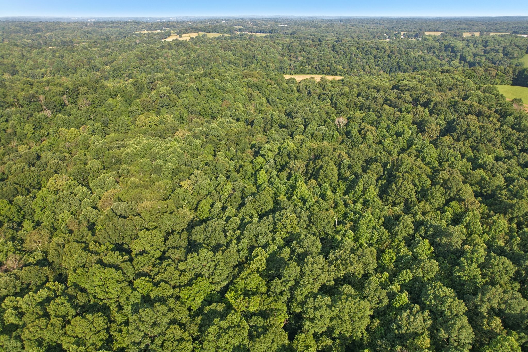 2326 Fairfield Road Westmoreland, TN 37186 - Photo 8 of 17 an aerial view of residential houses with outdoor space and trees