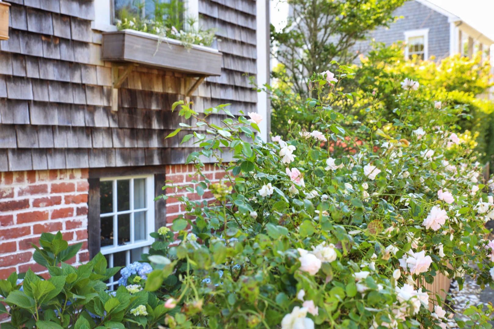 40 Pine Street Nantucket, MA 02554 - Photo 30 of 34