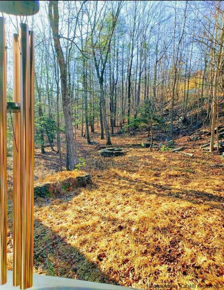66 Hill Road Kingston, NY 12401 - Photo 26 of 32 a view of a yard with trees