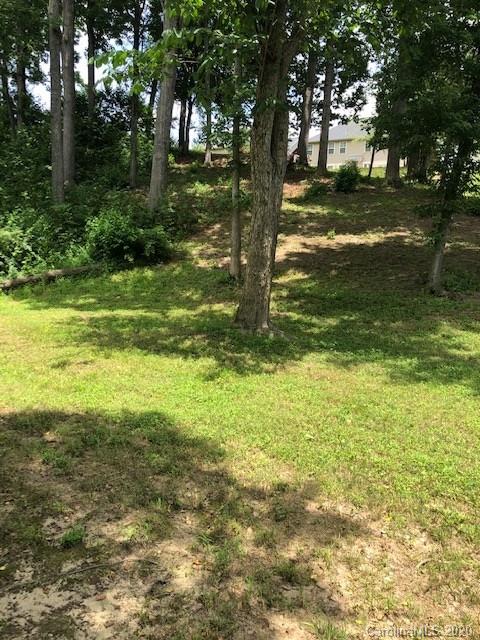 0 Butler Bridge Road Fletcher, NC 28732 - Photo 4 of 5