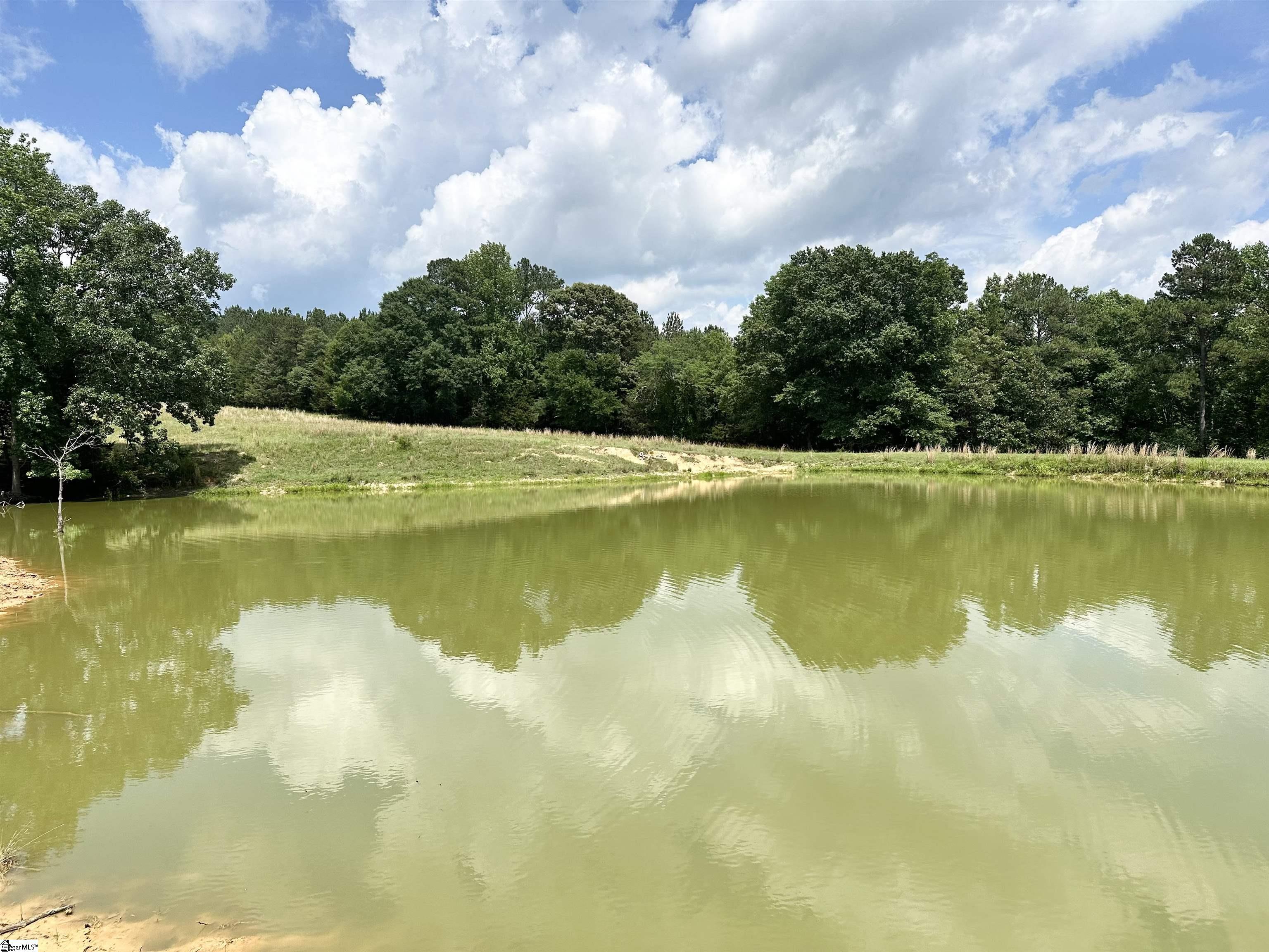 289 Deep Water Road Union, SC 29379 - Photo 49 of 50