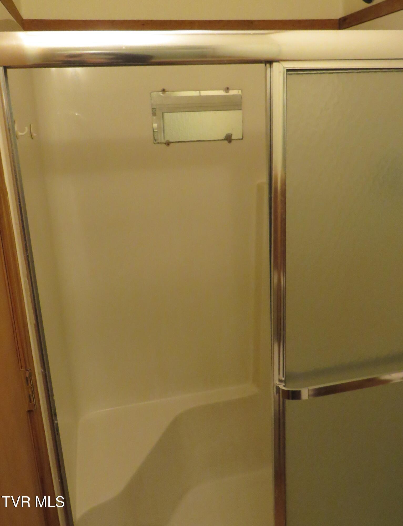 492 Forge Creek Road Mountain City, TN 37683 - Photo 19 of 44 First shower