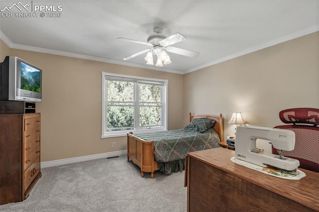 5440 Setters Way Colorado Springs, CO 80919 - Photo 28 of 40 a living room with furniture and a window