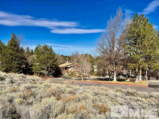 a view of a yard with wooden fence