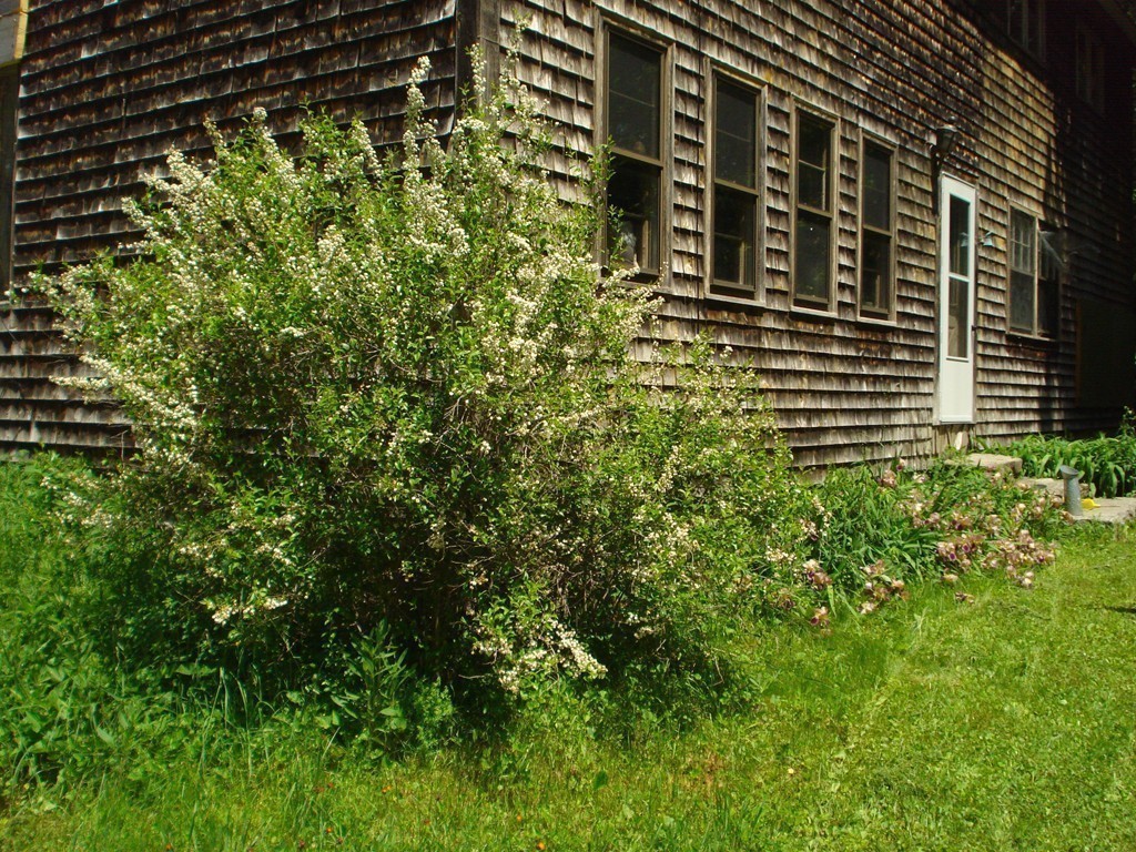 93 Glasheen Road Petersham, MA 01366 - Photo 5 of 23 Gallery Image 5